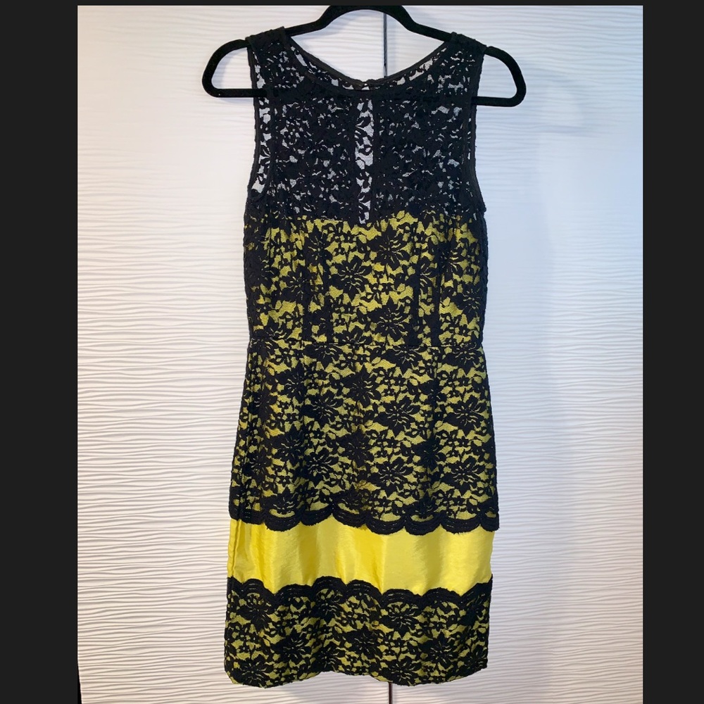 Lace Overlay Sheath Dress - EUC